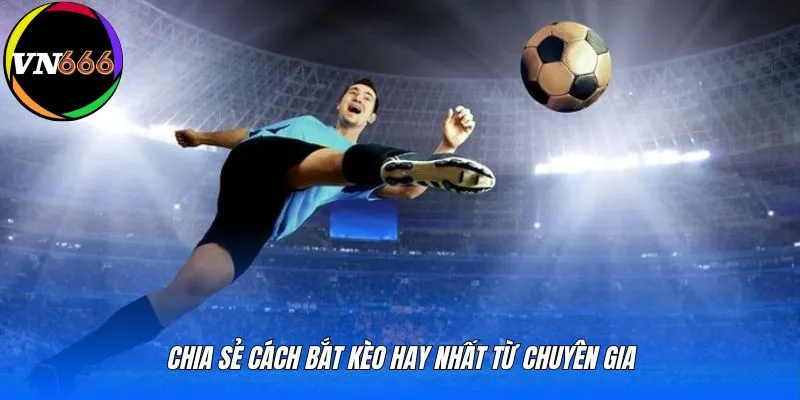 Chia sẻ cách bắt kèo hay nhất từ chuyên gia