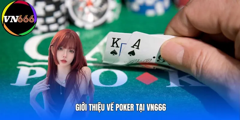 Giới thiệu về poker tại VN666